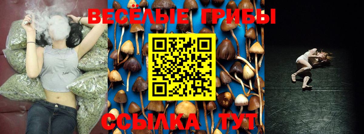 Галлюциногенные грибы GOLDEN TEACHER  Вход с VPN  Сертолово 